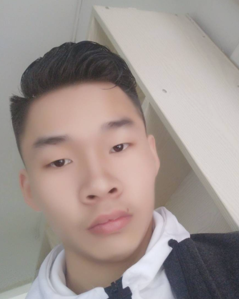 风陵飞翮